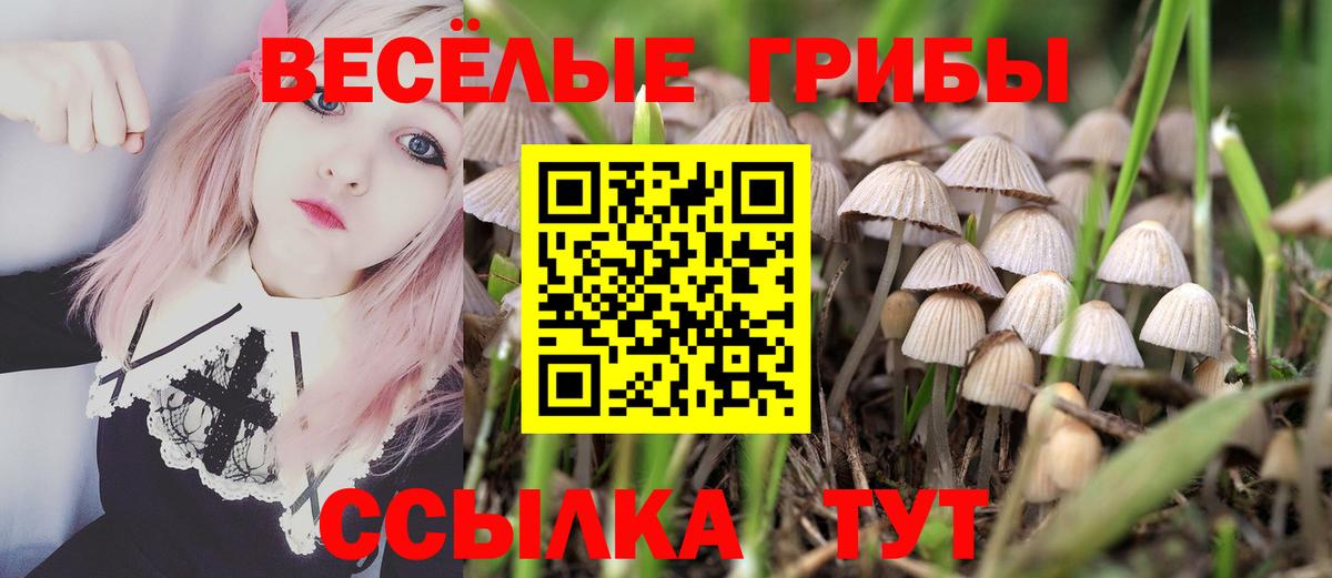 Нижний Новгород  Галлюциногенные грибы MAGIC MUSHROOMS  Вход с VPN 